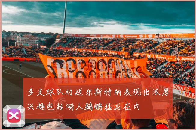 多支球队对迈尔斯特纳表现出浓厚兴趣包括湖人鹈鹕猛龙在内