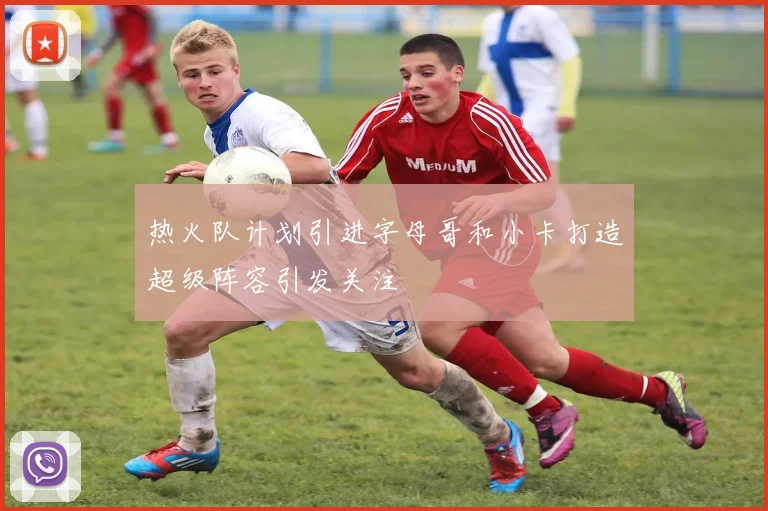 热火队计划引进字母哥和小卡打造超级阵容引发关注
